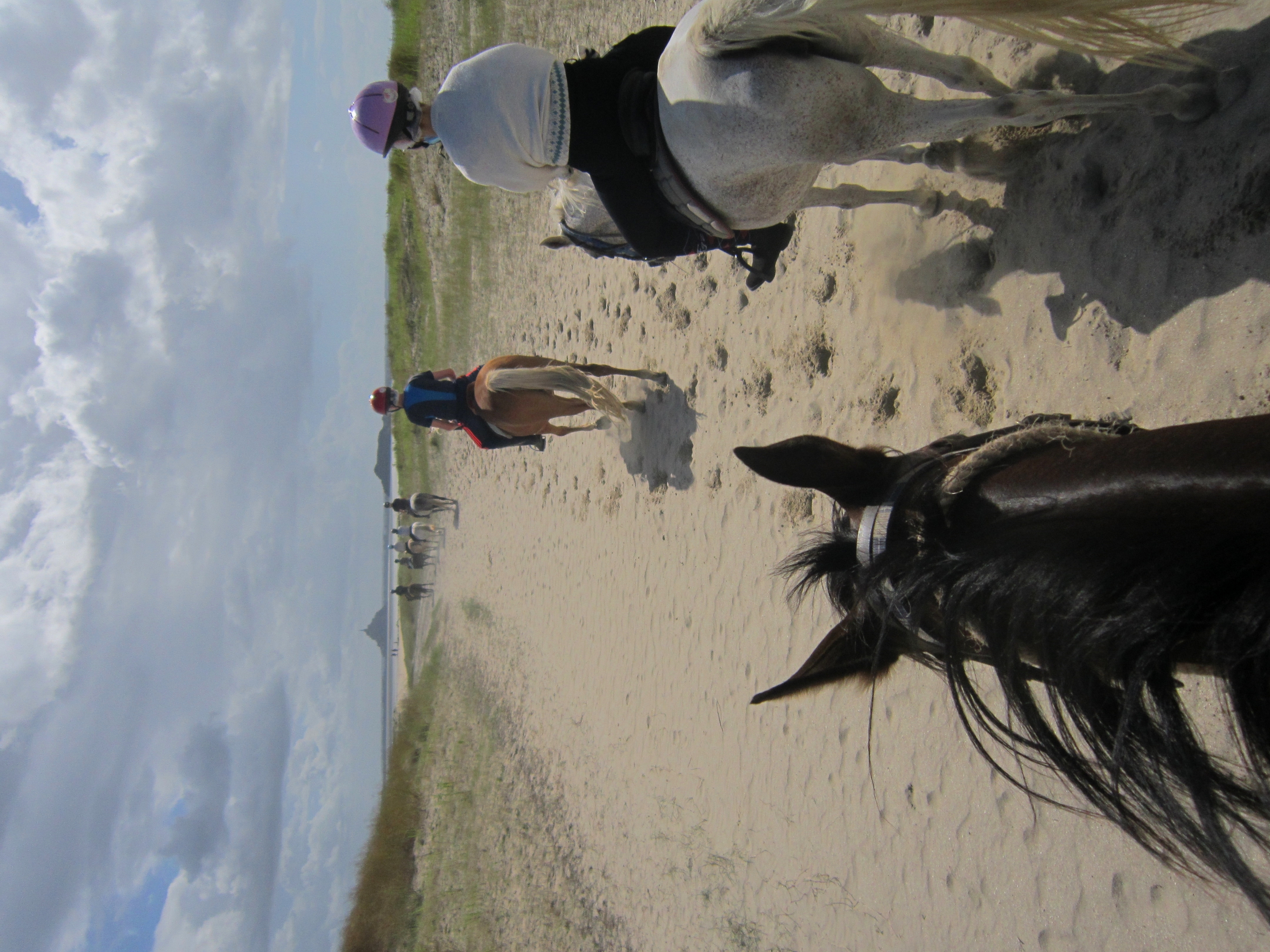 Souvenir de la plage!, par Nwaz