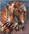 Usha, par Invoqueuse