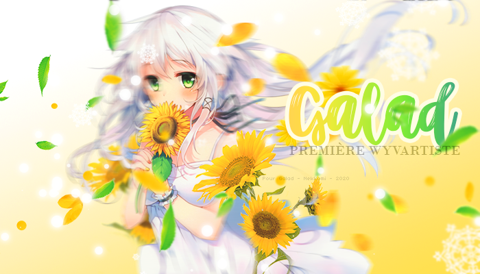 Cadeau pour Galad, par Nekkomi
