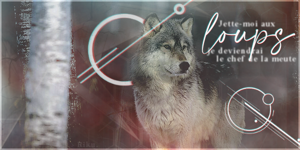 Loup, par Shinohara