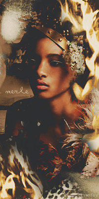 Merle, par Milou