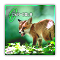 Renard, par emily1303