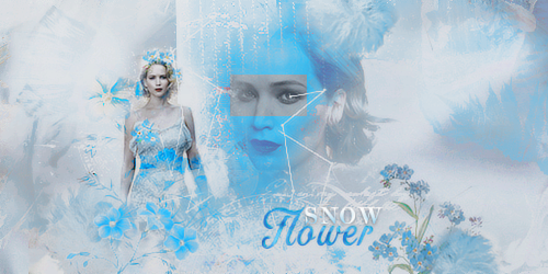 Snow Flower - Signature LS, par Liitchy