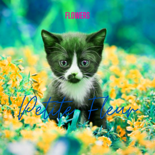 Petite Fleur avatar 1, par Flowers
