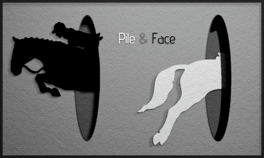 Pile & Face, par Tamara