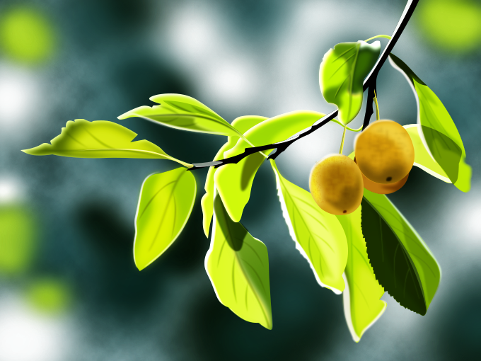 Prunes, par Tamara