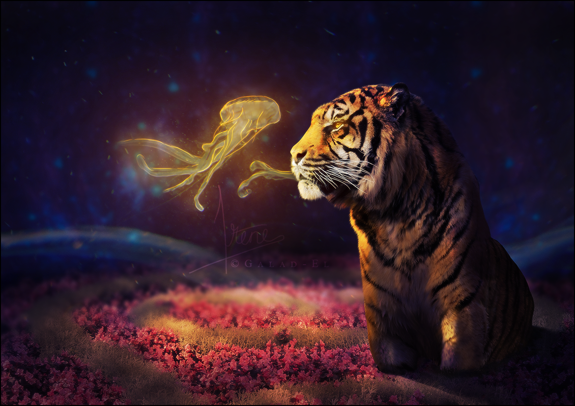 Rencontre Improbable, par Galad-El