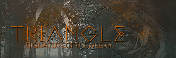 SOTW 1 Triangle, par Fraisy Sarcasm
