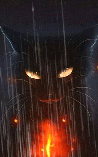 Chat noir, par Linoa