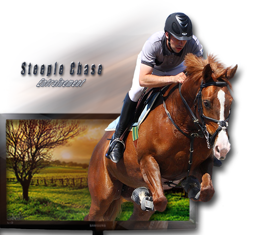 Hors cadre steeple chase, par Tamara