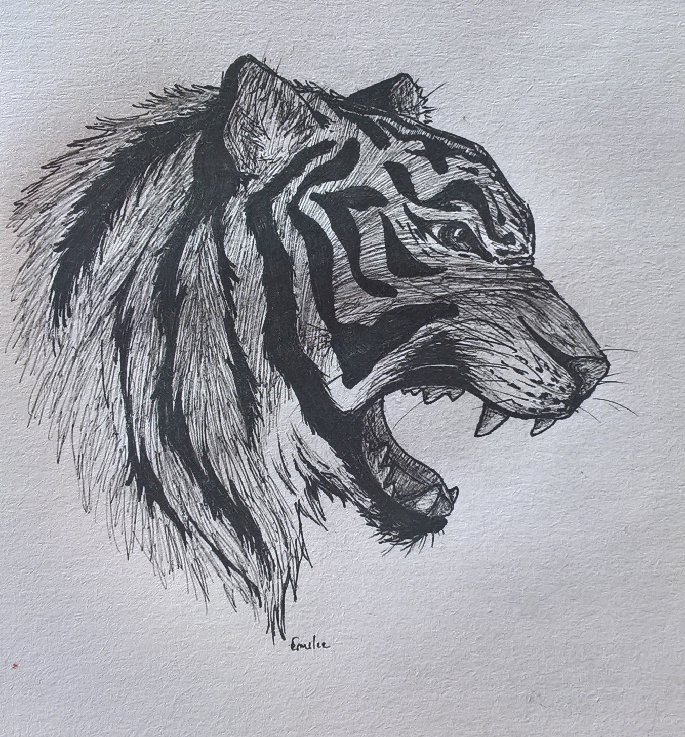 Sauvage, par Milou