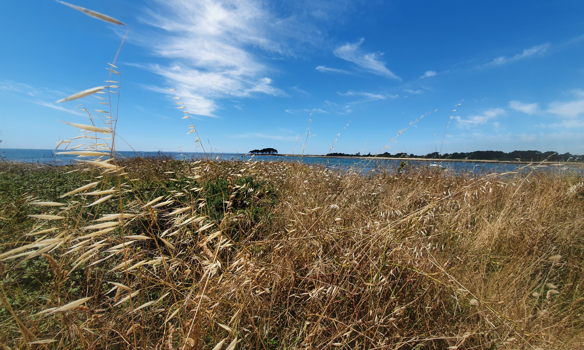 Plage du Morbihan, par Sygea