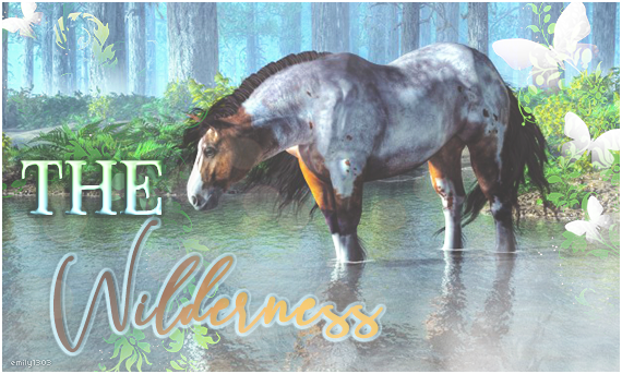 Wilderness, par emily1303