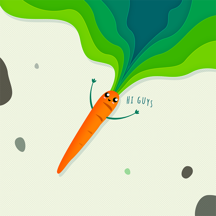 Oh la belle carotte, par Roman'