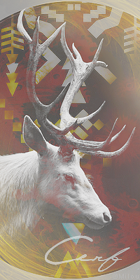 Cerf, par Milou