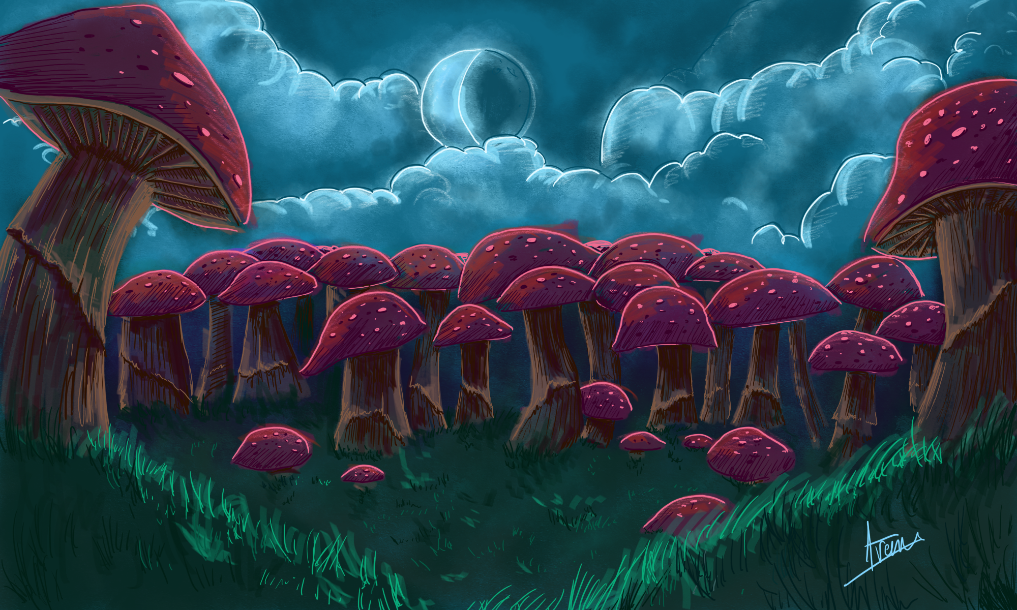 Champiforêt, par Galad-El