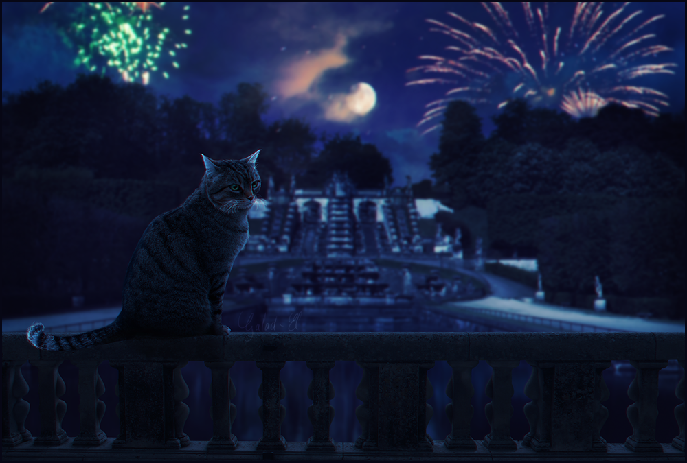 Chat, par Galad-El