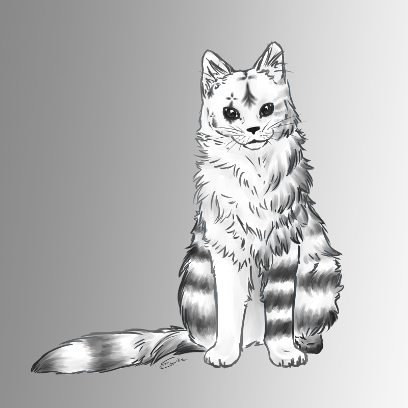 Chat breton, par Milou
