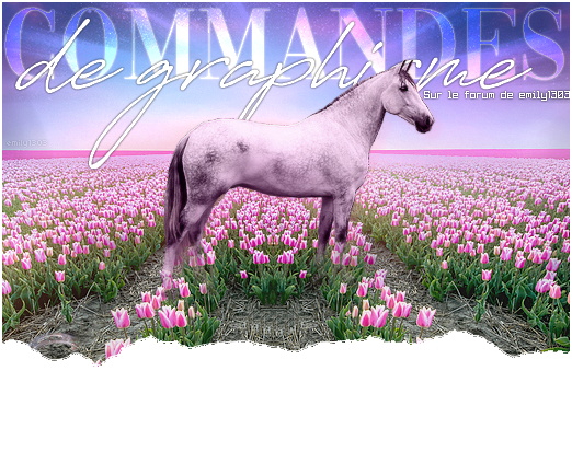 Pub commande 2, par emily1303