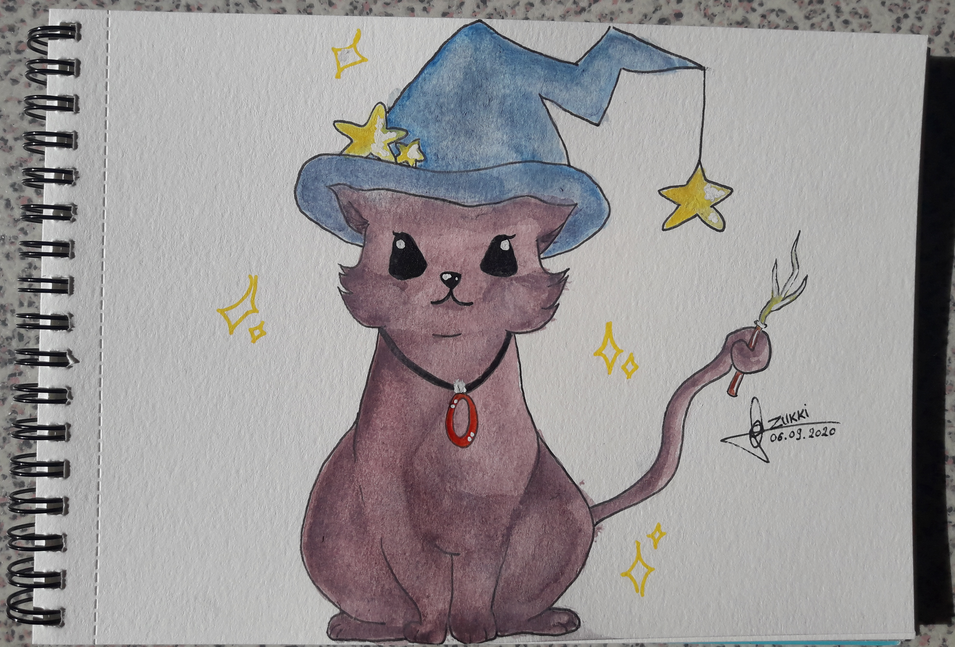Chat c'est pas sorcier !, par Zukki
