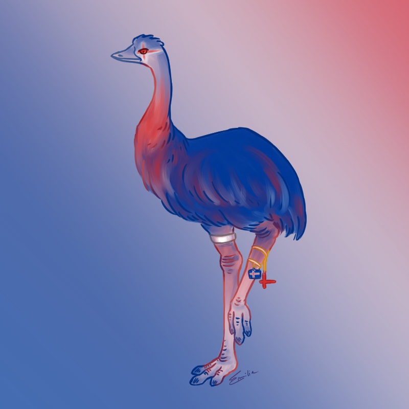 Emeu islandais, par Milou