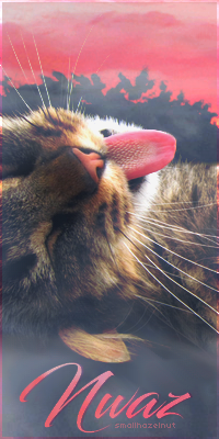 :Blep:, par Nwaz