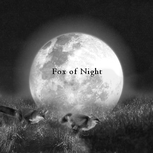 Fox of night, par Ollash