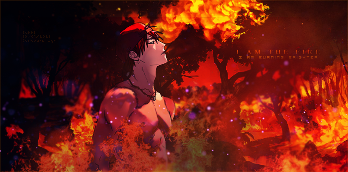I am the fire, par Zukki