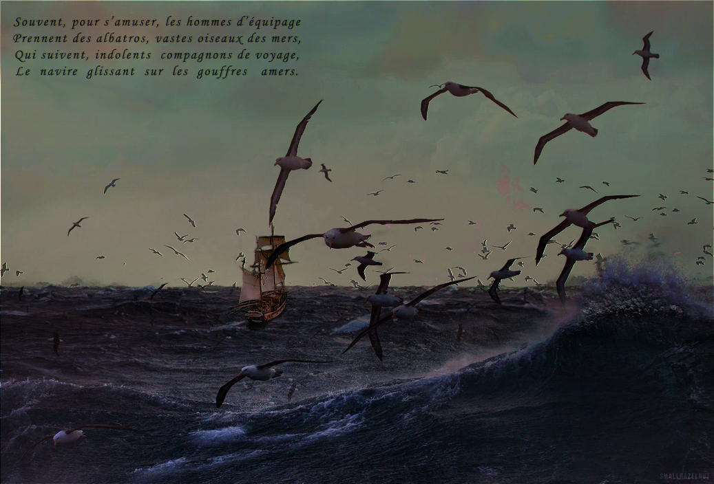 L'Albatros,     Baudelaire, par Nwaz