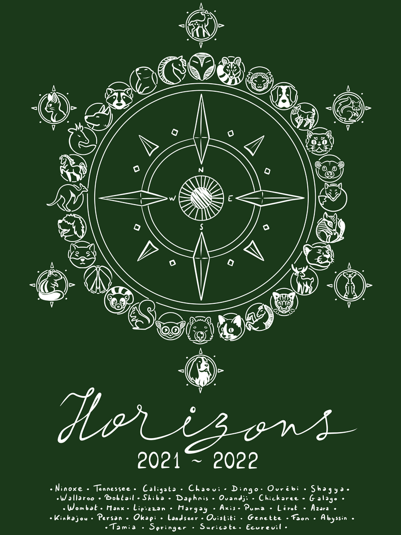 Logo pull Horizons, par Milou