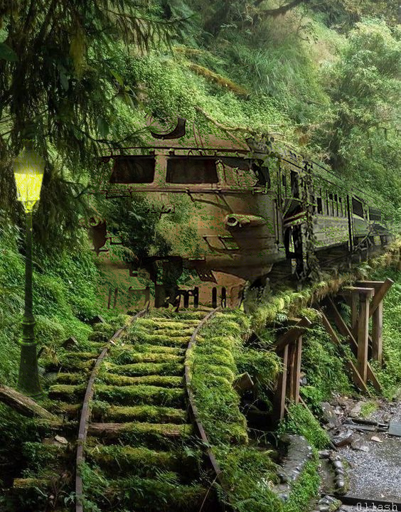 Train abandonné, par Ollash