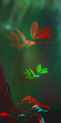 Nature, par Milou