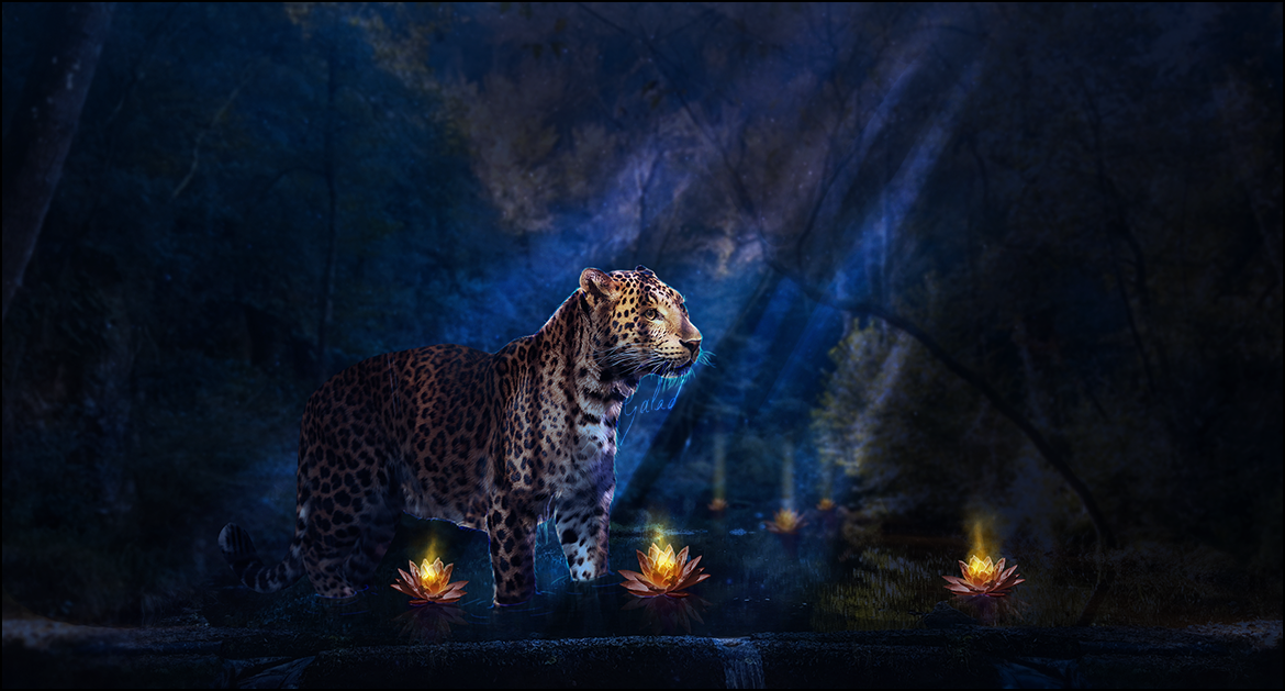 Nuit, par Galad-El