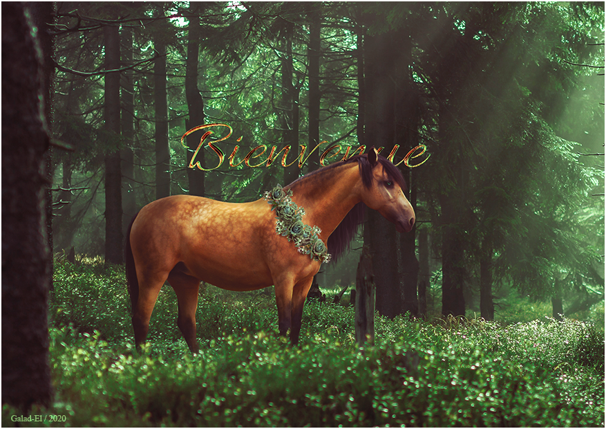 Or & Emeraude, par Galad-El