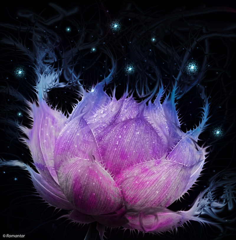 Lotus, par Roman'