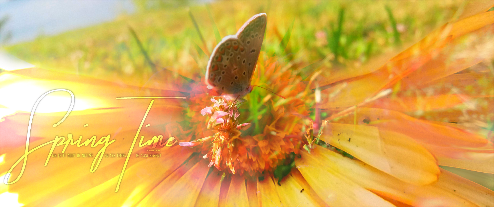 Spring Time, par Nwaz