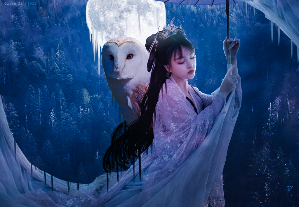 Image Imposée, par Galad-El