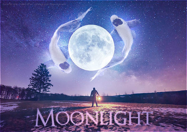 Moonlight, par Yamazakura