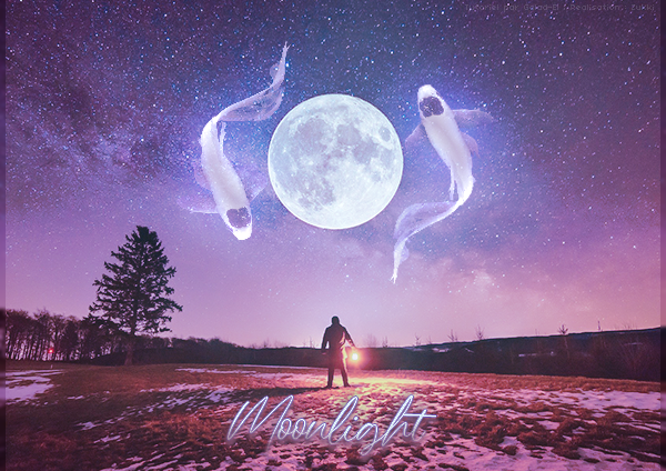 Moonlight, par Zukki